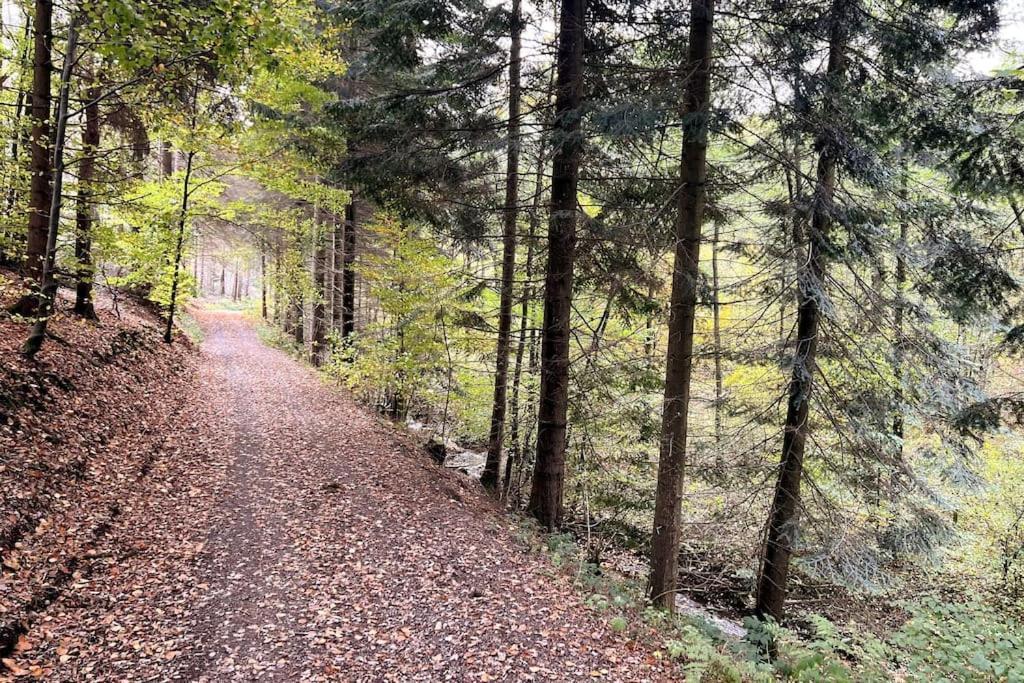 The Forest Retreat- Luxurioese Ferienwohnung Mit Privater Sauna 韦默尔斯基兴 外观 照片